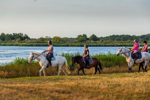 Mobilhome Sous Chalet En Bois A La Ferme Josnes Zewnętrze zdjęcie