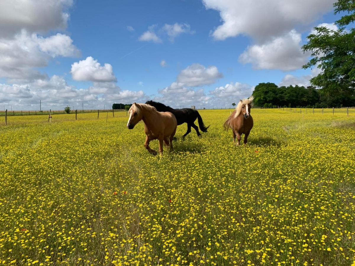 Mobilhome Sous Chalet En Bois A La Ferme Josnes Zewnętrze zdjęcie